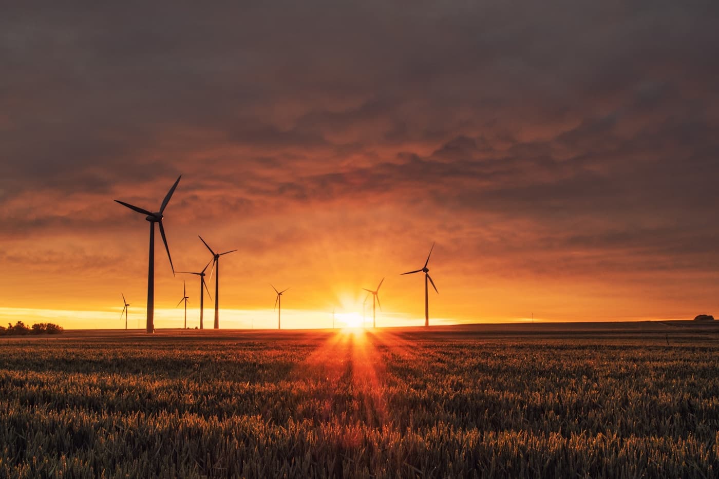 Solar / Renewables